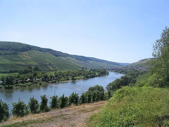 Die Mosel bei Reil