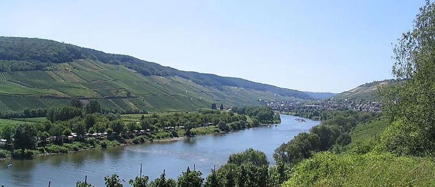Die Mosel bei Reil