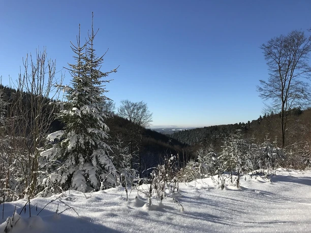 Giebelwald im Winterkleid Giebelwald im Winterkleid