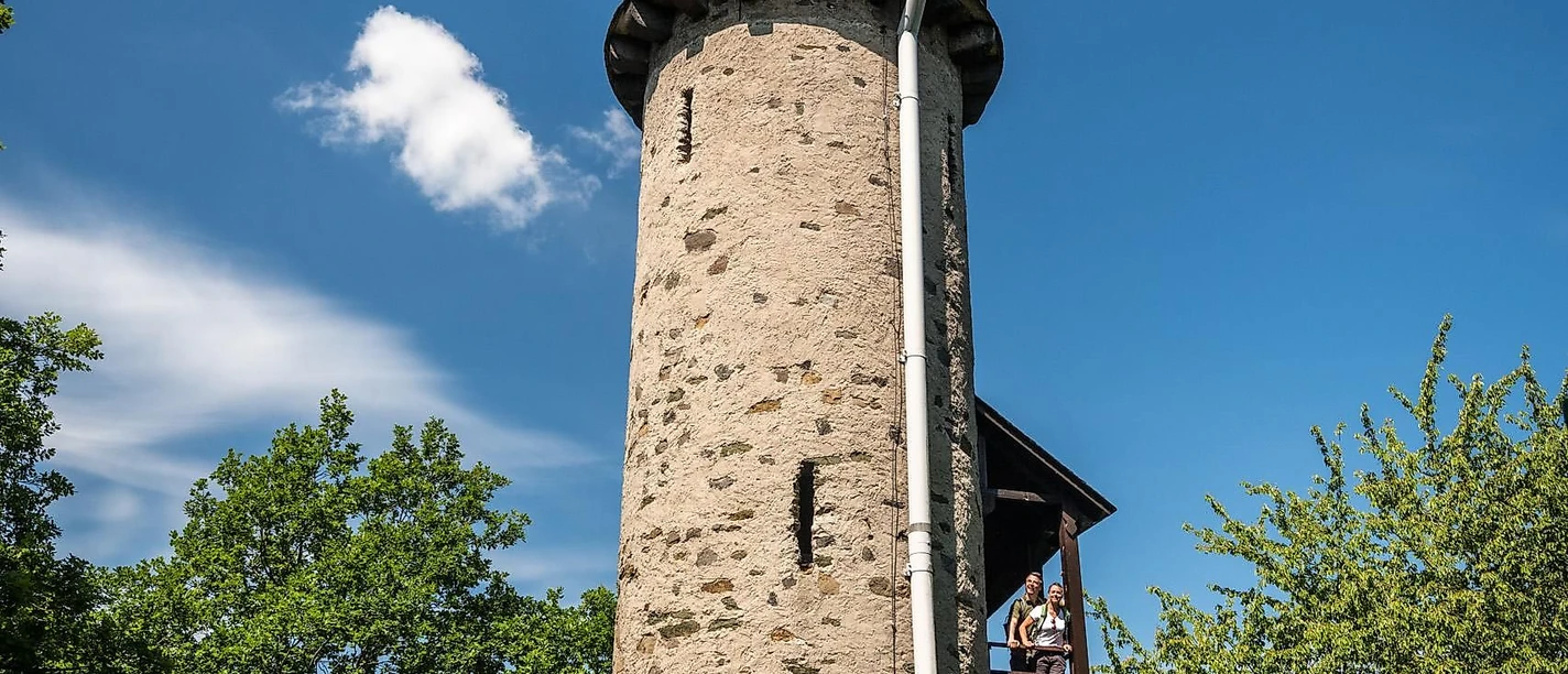 Blick auf die Brühlsbacher Warte