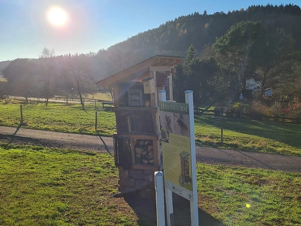 Lebensturm (4)