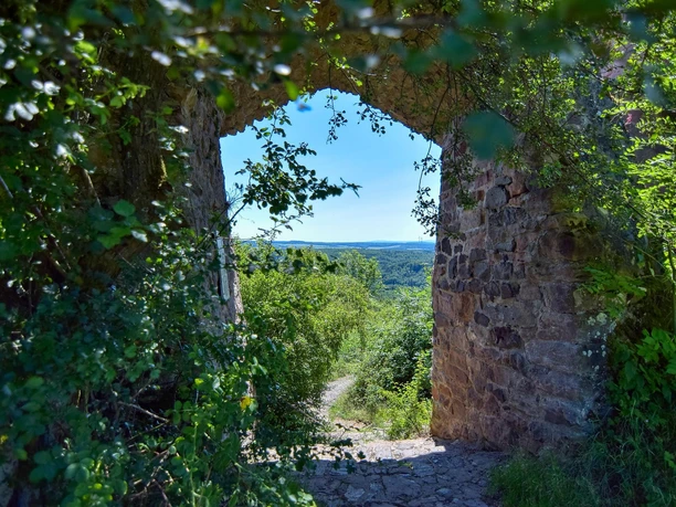 Frauenberg Ebsdorfergrund