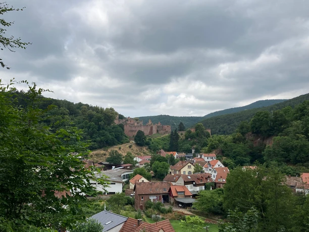 Aussicht auf die Hardenburg