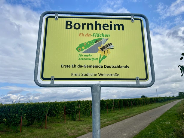 Eh da-Flächen Bornheim