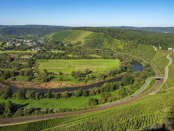 Saarbogen bei Wiltingen