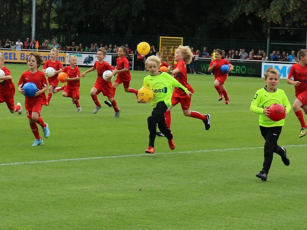 sge (278)