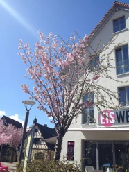 Eiswerk