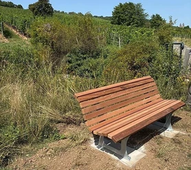 Bank im Rüdesheimer Bischofsberg