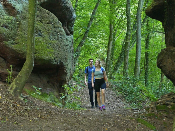 Traumschleife Kasteler Felsenpfad (2)