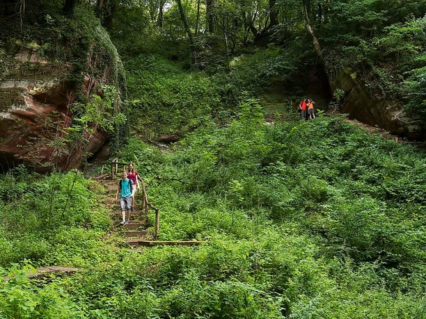 Aussicht auf dem Idesbachpfad