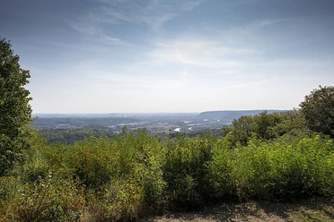 Naturschutzgebiet Wolferskopf
