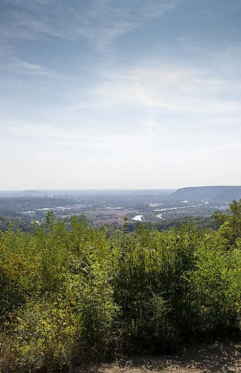 Naturschutzgebiet Wolferskopf