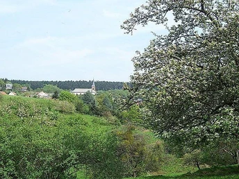 Ausblicke am Waldsaumweg