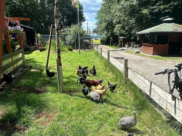 Vogelvoliere und Außengehege, Vogelverein Hermeske