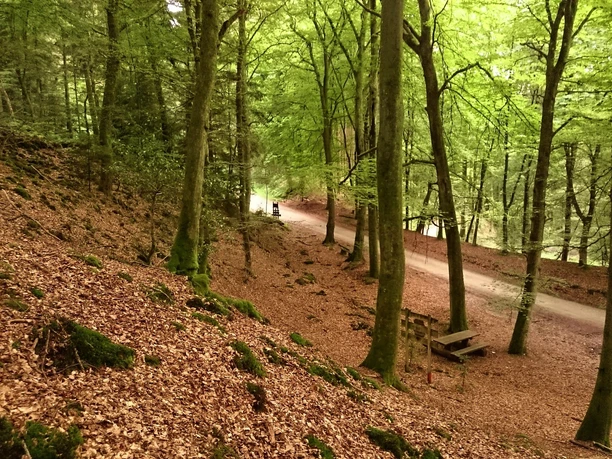 Blick vom Wall der Wikingerburg