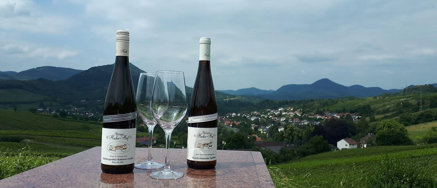 Picknickplatz Albersweiler-St. Johann