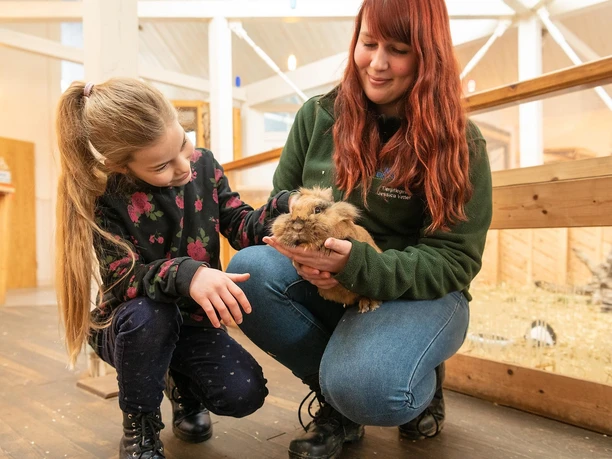 Tiere streicheln im Wild- und Erlebnispark Daun