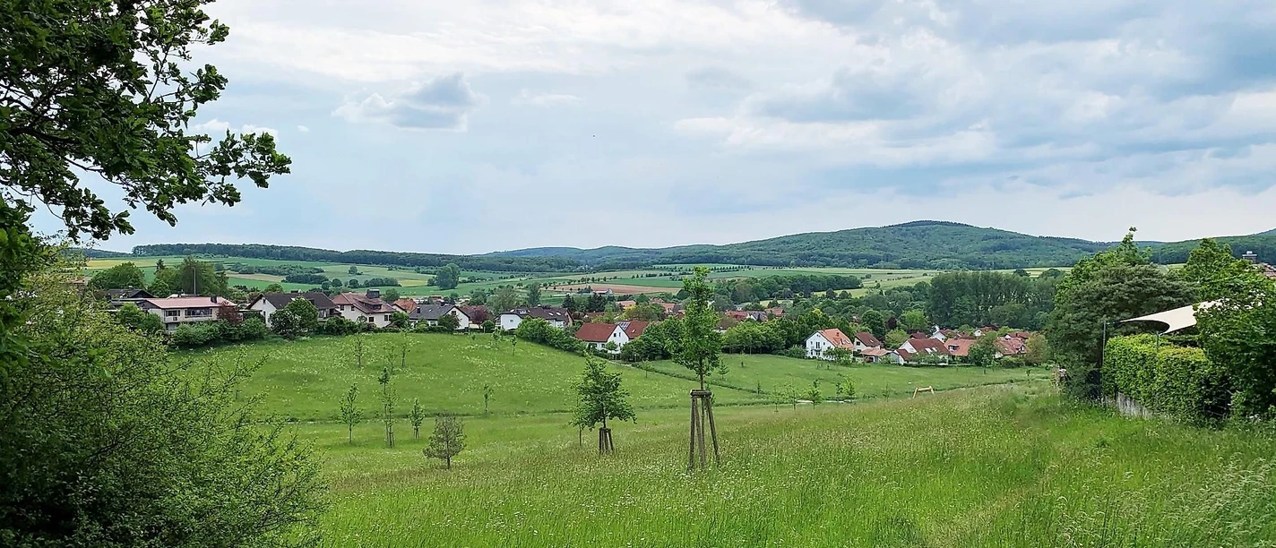 Panoramablick auf Marburg-Michelbach