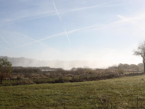 Jungferweiher in den Morgenstunden