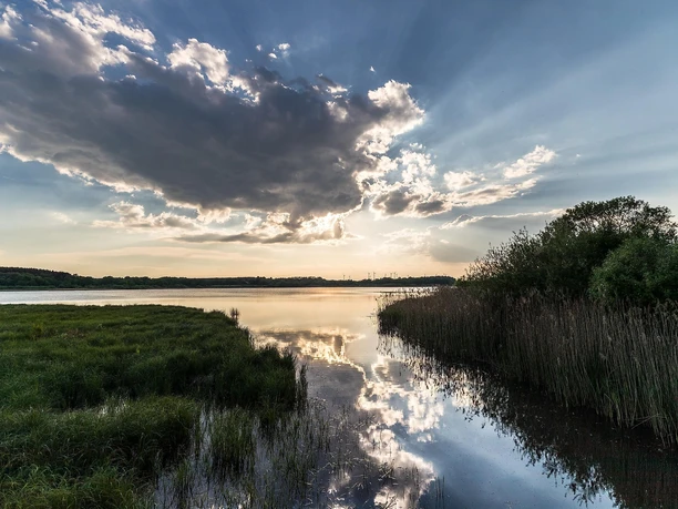 Blick von der Brücke am Dreifelder Weiher