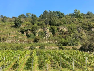 Weinberg