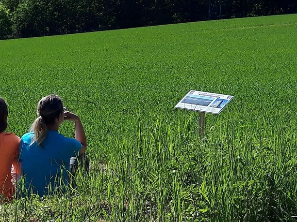 Saar-Leuktal-Panorama (02)