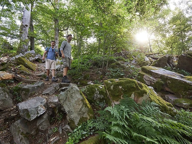 Erlebnis Nationalpark Hunsrück-Hochwald