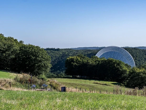 Sternenblick am Radioteleskop Effelsberg