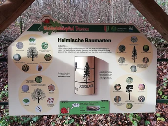 Informationspavillon Lebensraum Wald (2)