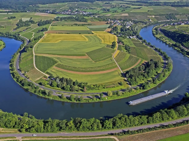 Moselschleife bei Palzem-Wehr