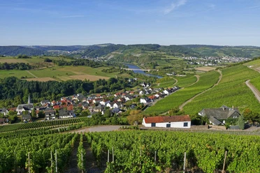 Ockfen an der Saar