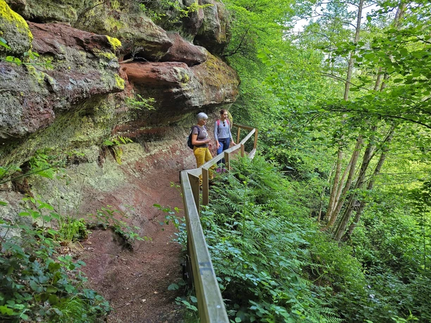 Kollesleuker Schweiz (2) Kollesleuker Schweiz (2)