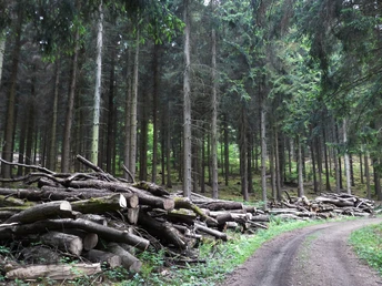 Natursteig Sieg Etappe 9