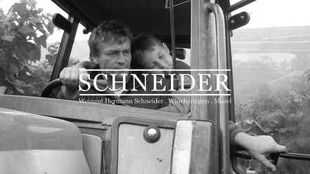 Weingut Schneider (1)