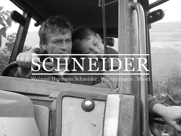 Weingut Schneider (1)