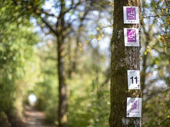 Naturschutzgebiet Wolferskopf