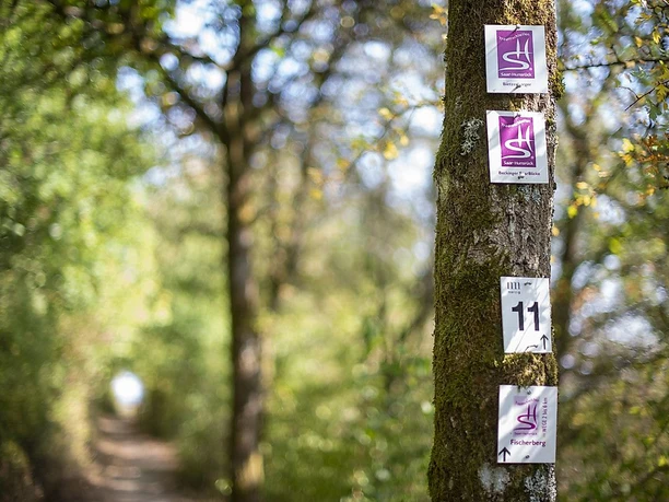 Naturschutzgebiet Wolferskopf