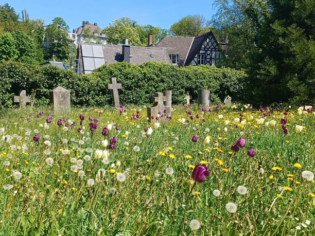 Grab- und Gedenksteine im Rosengärtchen