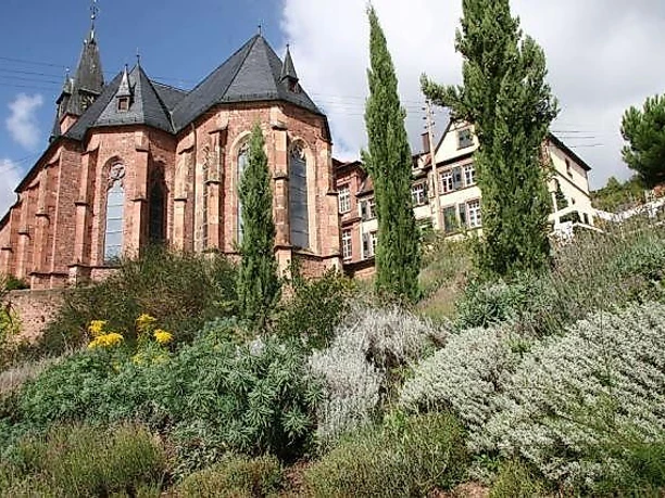 Bibelgarten St. Martin