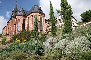 Bibelgarten St. Martin