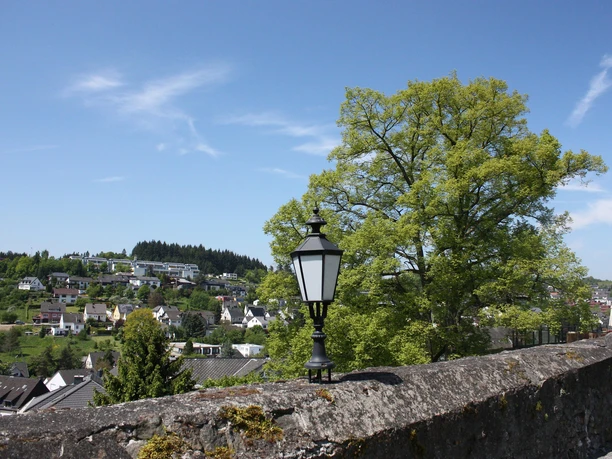 Ausblick Burg
