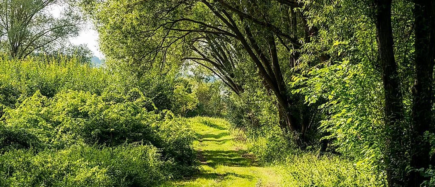 Naturschutzgebiet Gartenwiese