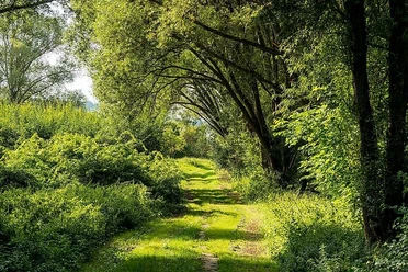 Naturschutzgebiet Gartenwiese