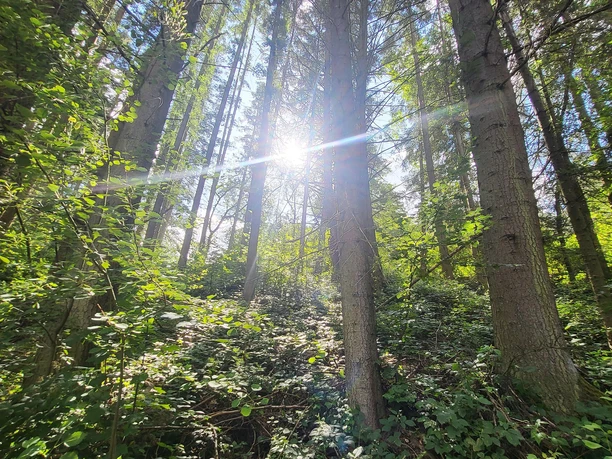 Kurpark