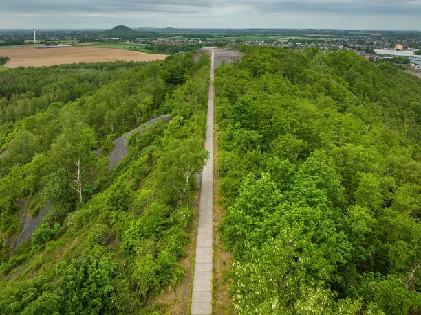 auf schmalem Weg zur Aussichtsplattform