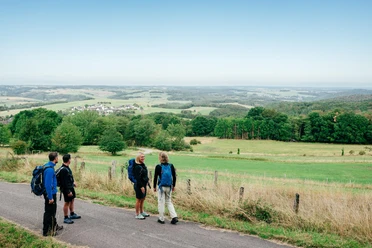 Wandergruppe unterwegs in der Nordeifel
