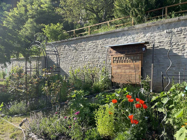 Garten (4)