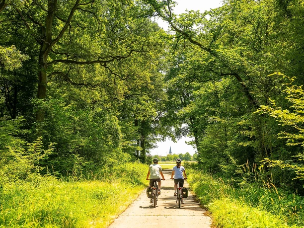 Radfahrende im Wald bei Ottersheim