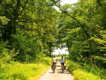 Radfahrende im Wald bei Ottersheim