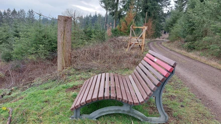 Ruhebank Damscheidblick
